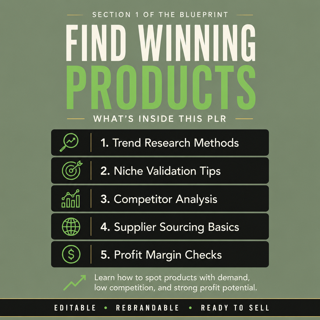 The Dropshipping Success Blueprint PLR