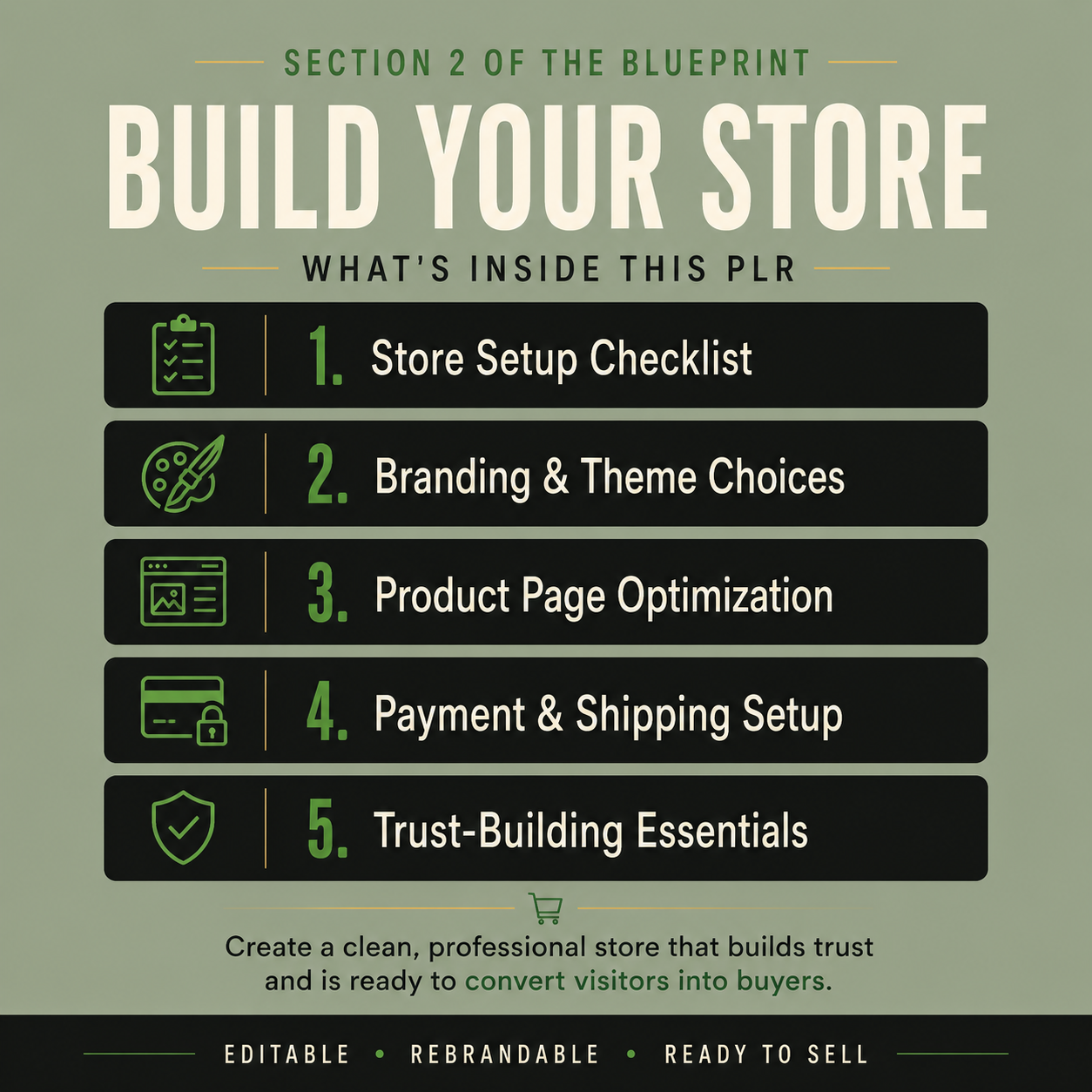 The Dropshipping Success Blueprint PLR