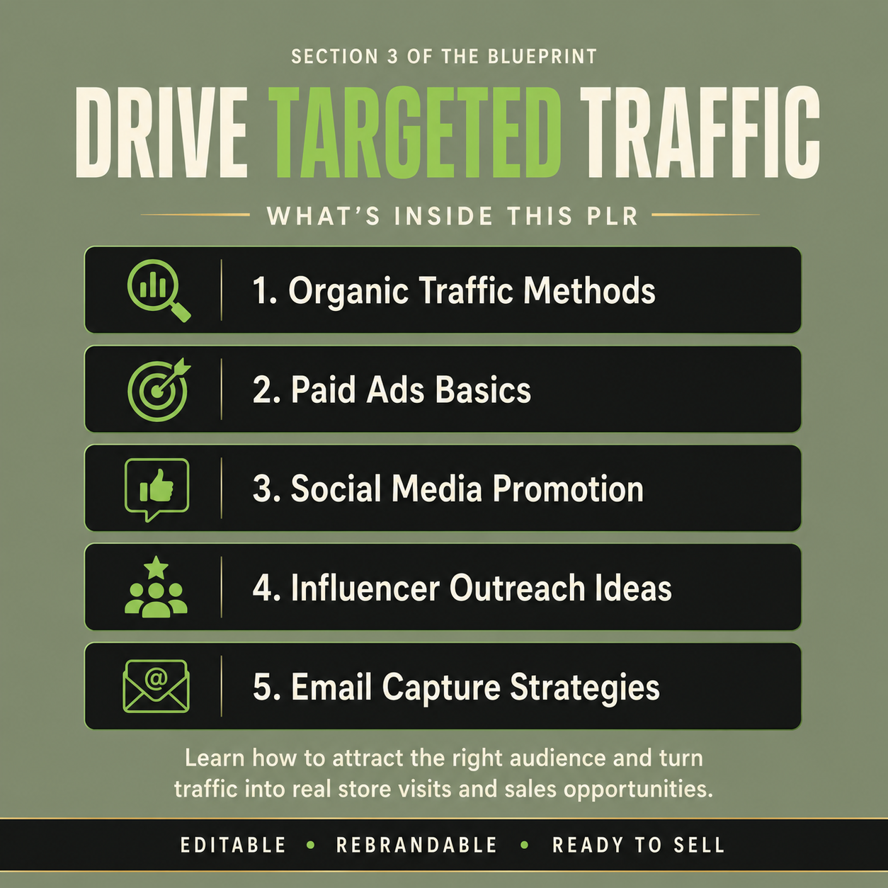 The Dropshipping Success Blueprint PLR