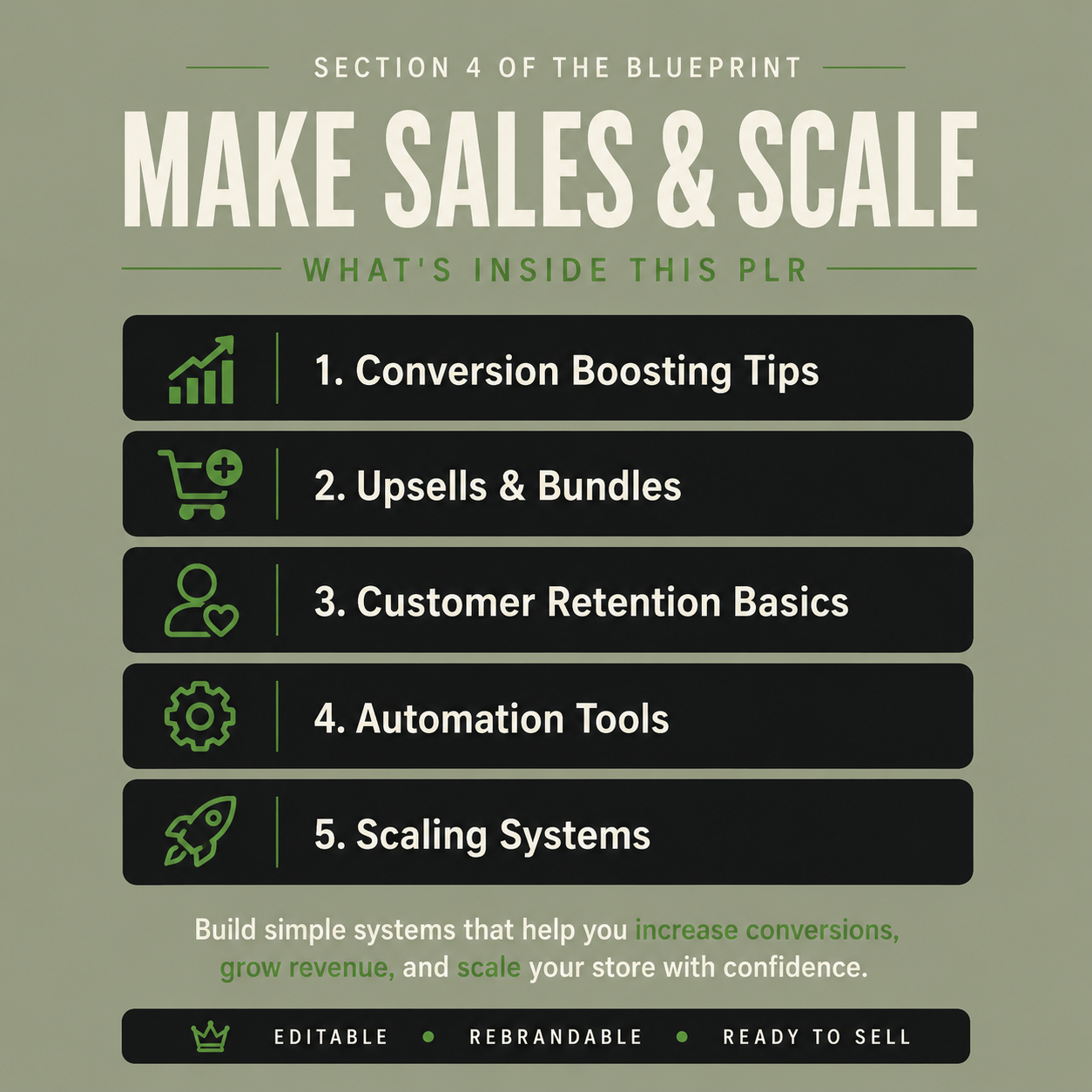 The Dropshipping Success Blueprint PLR